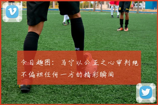 今日趣图：马宁以公正之心审判绝不偏袒任何一方的精彩瞬间